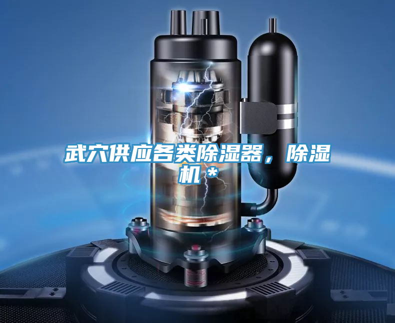 武穴供應(yīng)各類除濕器，除濕機(jī)＊