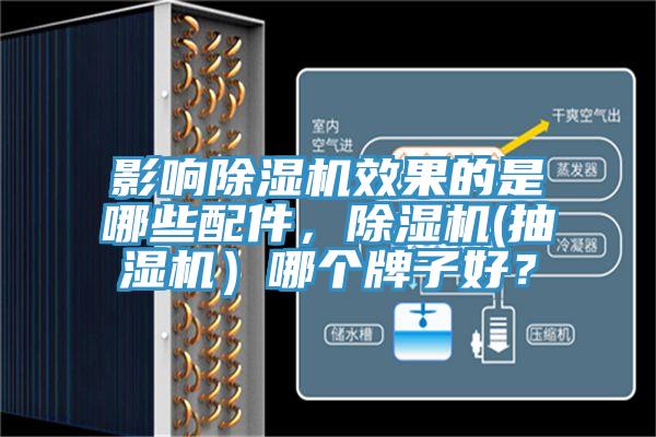 影響除濕機(jī)效果的是哪些配件，除濕機(jī)(抽濕機(jī)）哪個(gè)牌子好？
