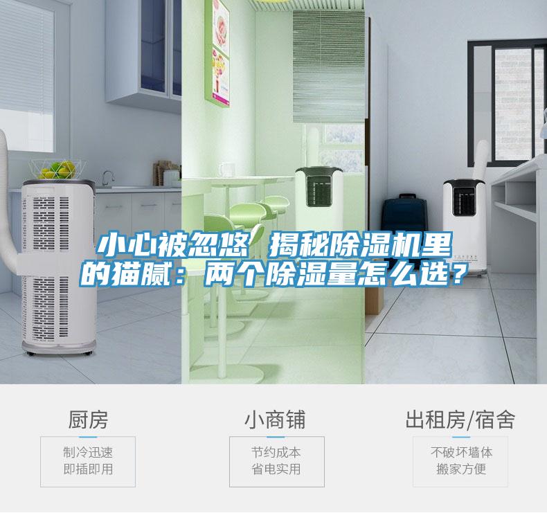 小心被忽悠 揭秘除濕機里的貓膩：兩個除濕量怎么選？