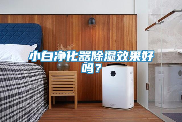 小白凈化器除濕效果好嗎？