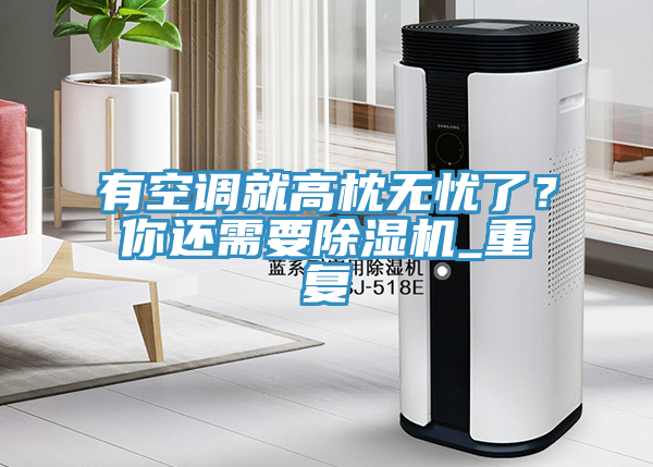 有空調就高枕無憂了？你還需要除濕機_重復