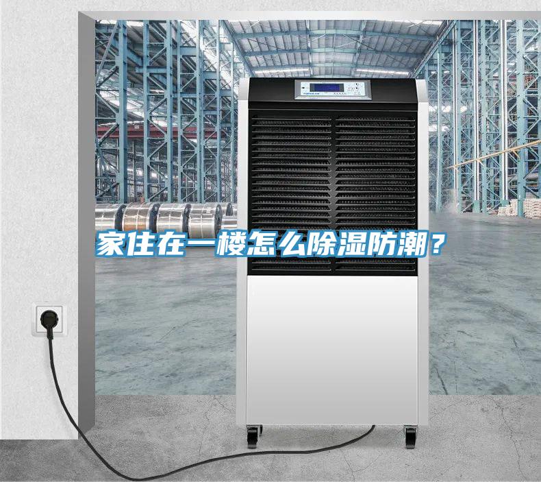 家住在一樓怎么除濕防潮？