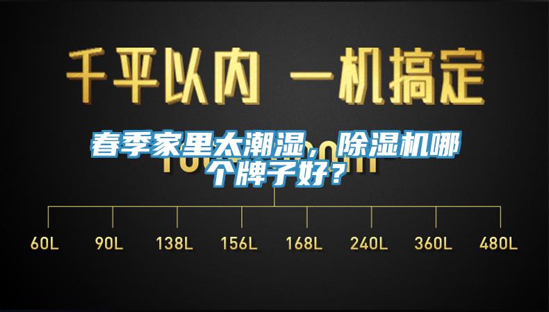 春季家里太潮濕，除濕機(jī)哪個(gè)牌子好？