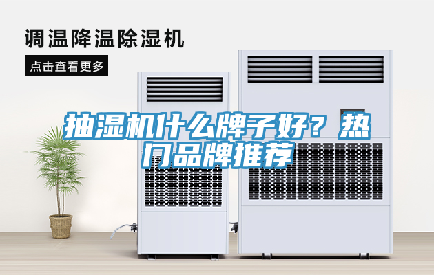 抽濕機(jī)什么牌子好？熱門(mén)品牌推薦