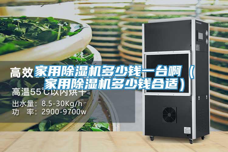 家用除濕機多少錢一臺?。矣贸凉駲C多少錢合適）