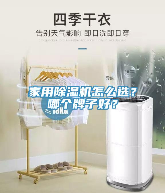 家用除濕機(jī)怎么選？哪個牌子好？