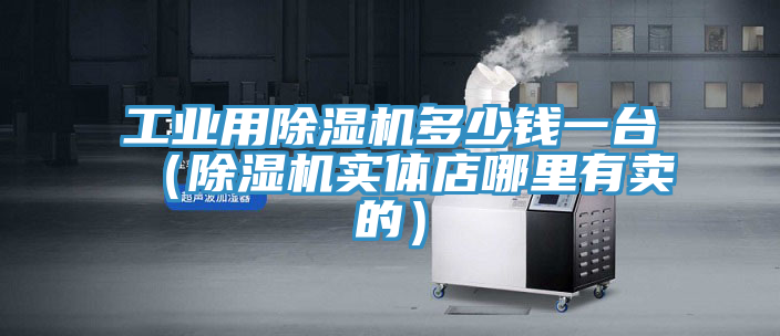 工業(yè)用除濕機(jī)多少錢(qián)一臺(tái)（除濕機(jī)實(shí)體店哪里有賣(mài)的）