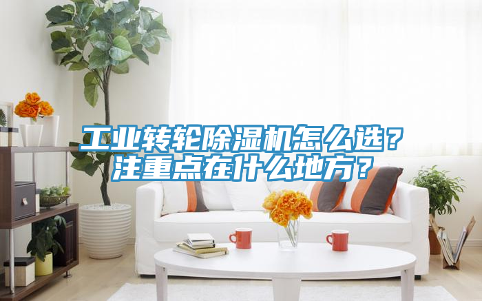 工業(yè)轉輪除濕機怎么選？注重點在什么地方？