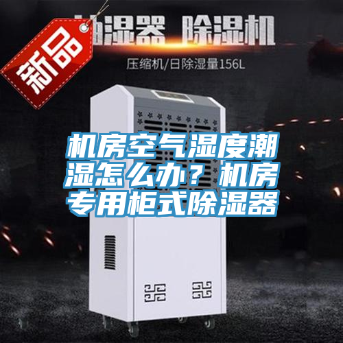 機房空氣濕度潮濕怎么辦？機房專用柜式除濕器