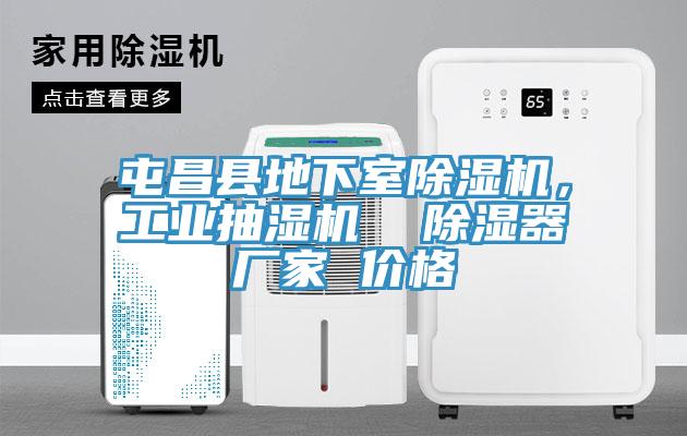 屯昌縣地下室除濕機，工業(yè)抽濕機  除濕器廠家 價格