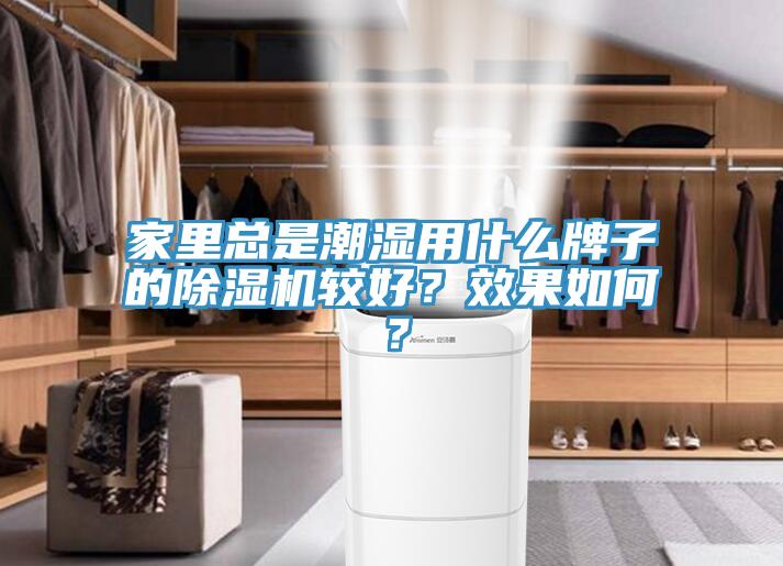 家里總是潮濕用什么牌子的除濕機(jī)較好？效果如何？