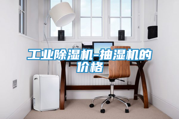 工業(yè)除濕機(jī)-抽濕機(jī)的價格