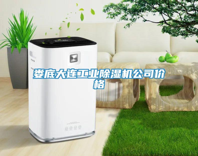 婁底大連工業(yè)除濕機(jī)公司價格