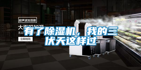 有了除濕機，我的三伏天這樣過
