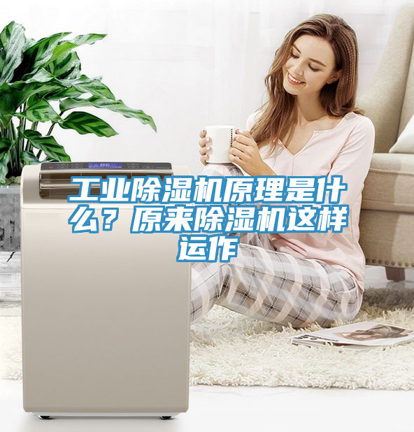 工業(yè)除濕機(jī)原理是什么？原來(lái)除濕機(jī)這樣運(yùn)作