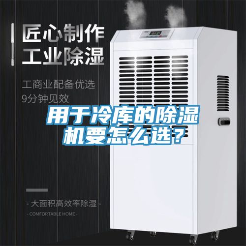 用于冷庫的除濕機要怎么選？