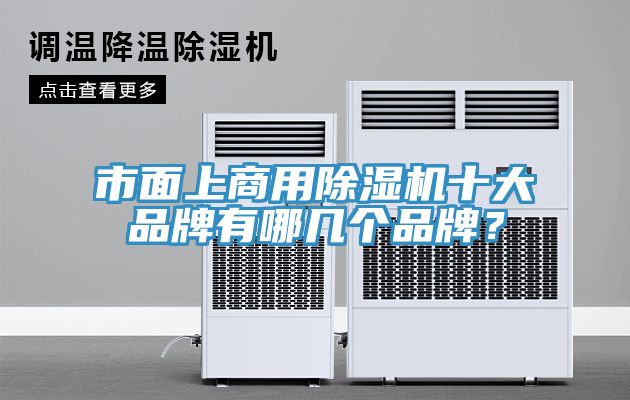 市面上商用除濕機(jī)十大品牌有哪幾個(gè)品牌？