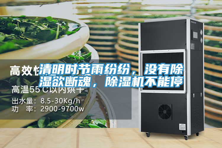 清明時(shí)節(jié)雨紛紛，沒(méi)有除濕欲斷魂，除濕機(jī)不能停
