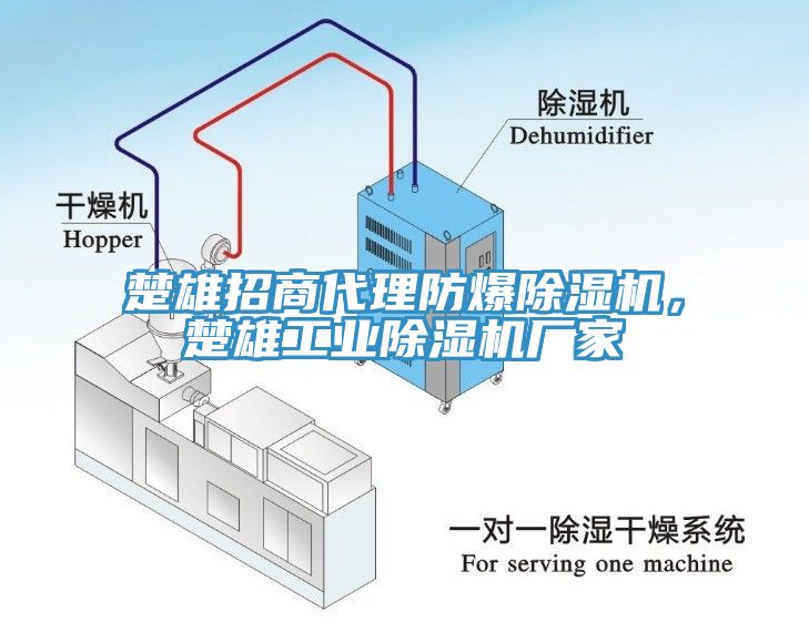 楚雄招商代理防爆除濕機(jī)，楚雄工業(yè)除濕機(jī)廠家