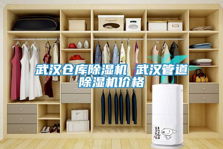 武漢倉庫除濕機(jī) 武漢管道除濕機(jī)價格