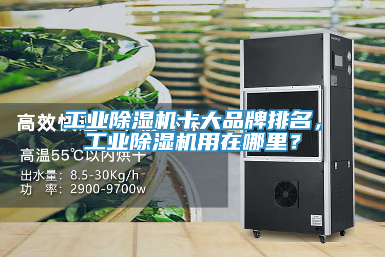 工業(yè)除濕機(jī)十大品牌排名，工業(yè)除濕機(jī)用在哪里？