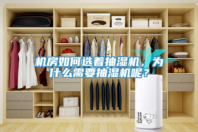機(jī)房如何選著抽濕機(jī)，為什么需要抽濕機(jī)呢？