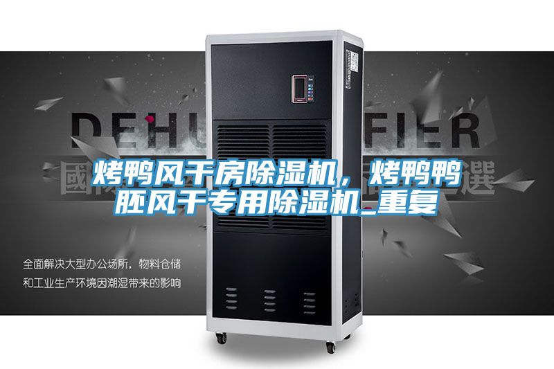 烤鴨風(fēng)干房除濕機(jī)，烤鴨鴨胚風(fēng)干專用除濕機(jī)_重復(fù)
