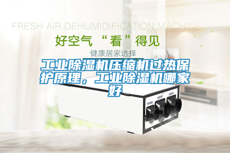 工業(yè)除濕機(jī)壓縮機(jī)過(guò)熱保護(hù)原理，工業(yè)除濕機(jī)哪家好