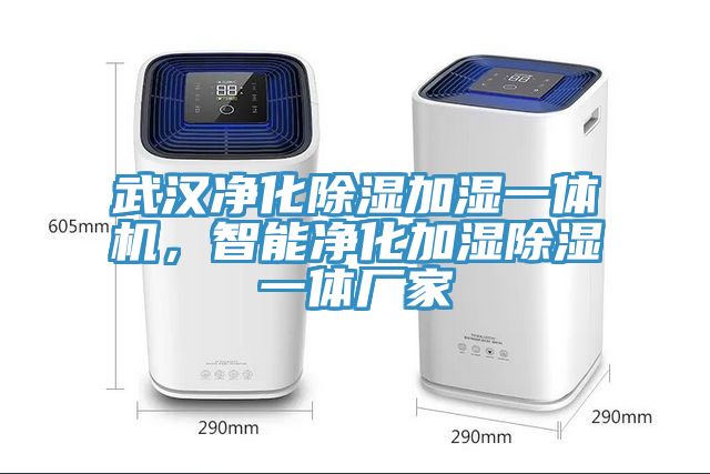 武漢凈化除濕加濕一體機，智能凈化加濕除濕一體廠家