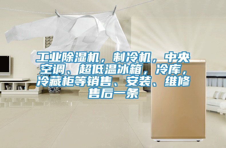 工業(yè)除濕機，制冷機，中央空調(diào)、超低溫冰箱，冷庫，冷藏柜等銷售、安裝、維修售后一條