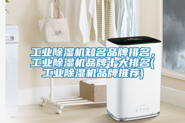工業(yè)除濕機(jī)知名品牌排名，工業(yè)除濕機(jī)品牌十大排名(工業(yè)除濕機(jī)品牌推薦)