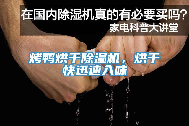 烤鴨烘干除濕機(jī)，烘干快迅速入味