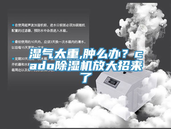 濕氣太重,腫么辦？cado除濕機放大招來了