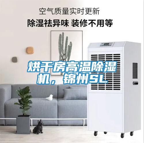 烘干房高溫除濕機(jī)，錦州SL