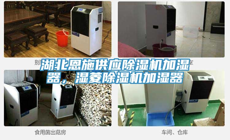 湖北恩施供應除濕機加濕器，濕菱除濕機加濕器