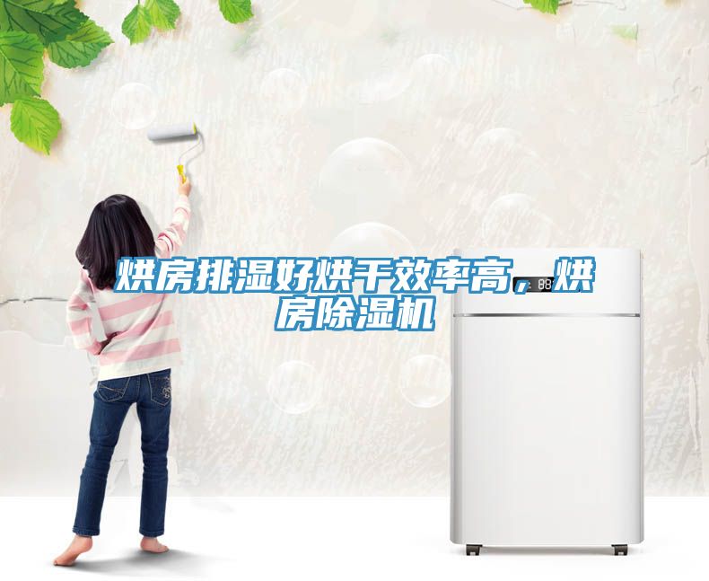 烘房排濕好烘干效率高，烘房除濕機(jī)