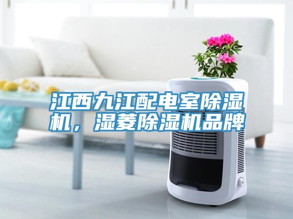 江西九江配電室除濕機，濕菱除濕機品牌