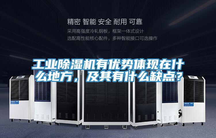 工業(yè)除濕機有優(yōu)勢體現在什么地方，及其有什么缺點？