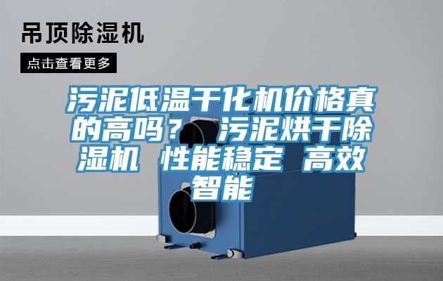 污泥低溫干化機價格真的高嗎？ 污泥烘干除濕機 性能穩(wěn)定 高效智能