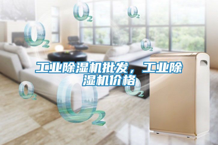 工業(yè)除濕機批發(fā)，工業(yè)除濕機價格