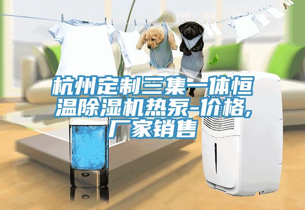 杭州定制三集一體恒溫除濕機(jī)熱泵-價(jià)格,廠家銷(xiāo)售