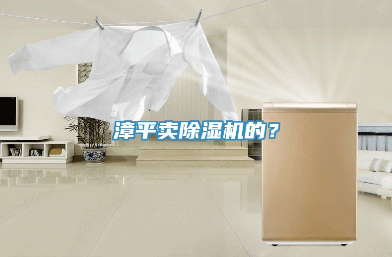漳平賣除濕機(jī)的？