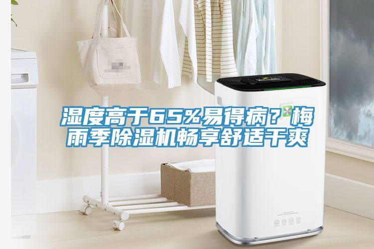 濕度高于65%易得病？梅雨季除濕機暢享舒適干爽