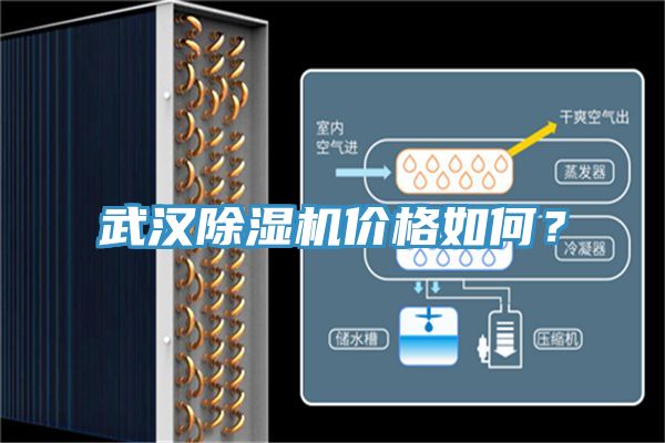 武漢除濕機(jī)價(jià)格如何？