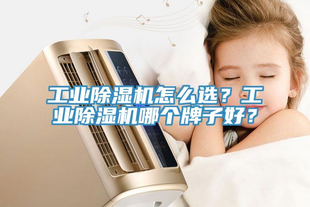 工業(yè)除濕機(jī)怎么選？工業(yè)除濕機(jī)哪個(gè)牌子好？