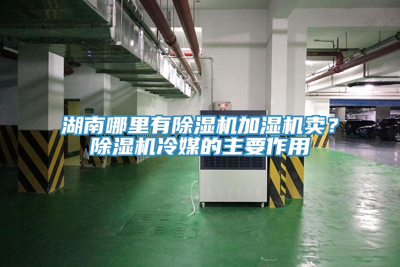 湖南哪里有除濕機加濕機賣？除濕機冷媒的主要作用