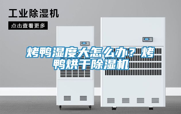 烤鴨濕度大怎么辦？烤鴨烘干除濕機(jī)