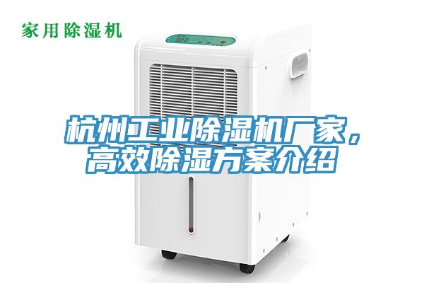 杭州工業(yè)除濕機(jī)廠家，高效除濕方案介紹