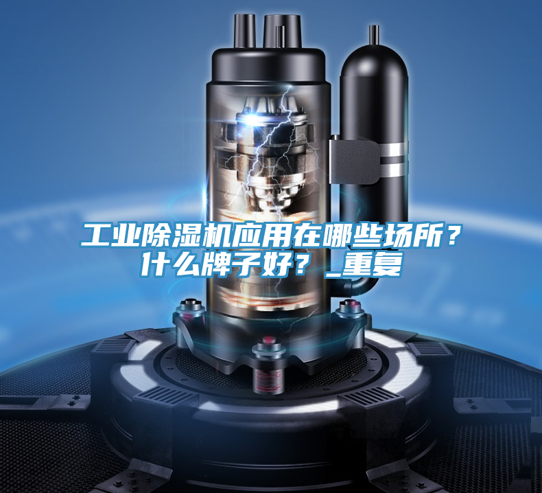 工業(yè)除濕機(jī)應(yīng)用在哪些場(chǎng)所？什么牌子好？_重復(fù)