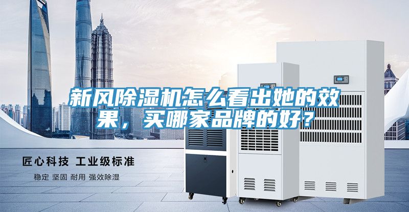 新風(fēng)除濕機(jī)怎么看出她的效果，買哪家品牌的好？